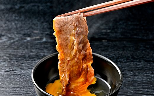 近江牛すき焼き・しゃぶしゃぶ用肩ロース【500g】＋近江牛ハンバーグ×3個【450ｇ（150ｇ×3個）】【AB65W】