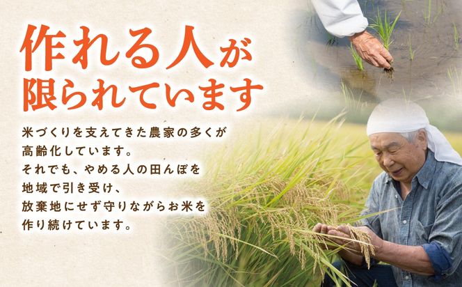 【令和7年産】コシヒカリ 10kg ( 5kg × 2袋 ) 米 一等米 白米 福島県 田村市 ふぁせるたむら