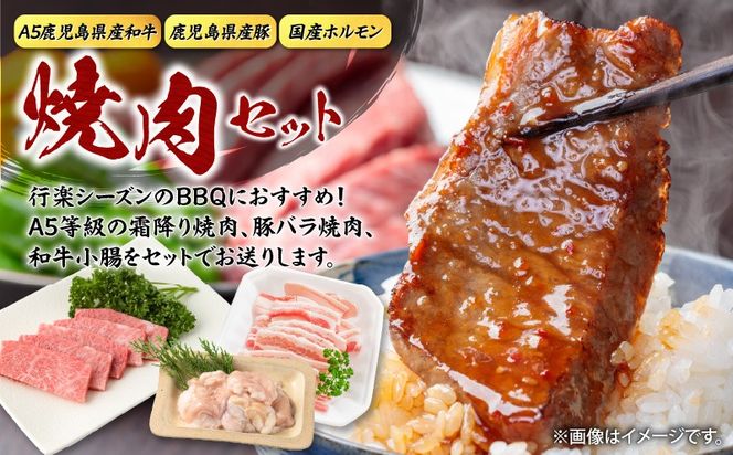 【A5和牛・豚・ホルモン】焼肉セット900g　K002-055