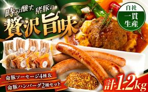『命豚ソーセージ4種＆命豚ハンバーグ2種セット』 豚肉 ハンバーグ ソーセージ 詰め合わせ お取り寄せ 国産 ギフト 冷凍 沖縄市 / DELICATESSEN NUCHIBUTA [BCAR002]