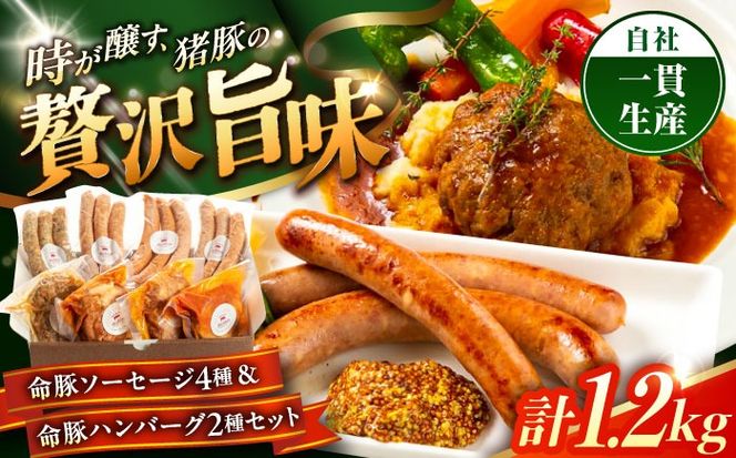 『命豚ソーセージ4種＆命豚ハンバーグ2種セット』 豚肉 ハンバーグ ソーセージ 詰め合わせ お取り寄せ 国産 ギフト 冷凍 沖縄市 / DELICATESSEN NUCHIBUTA [BCAR002]