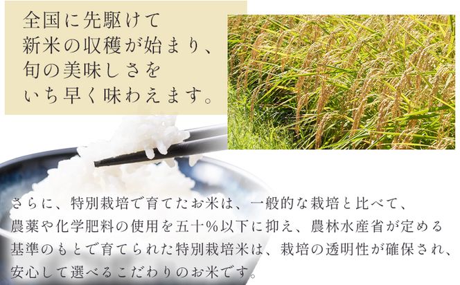 【6回定期便】令和8年産 高知県香南市産 特別栽培米 コシヒカリ 5kg - 国産 米 お米 こしひかり 白米 どうぞ ごはん おにぎり ご飯 防災 非常食 備蓄 kome 高知県 香南市 常温 Wnu-0015