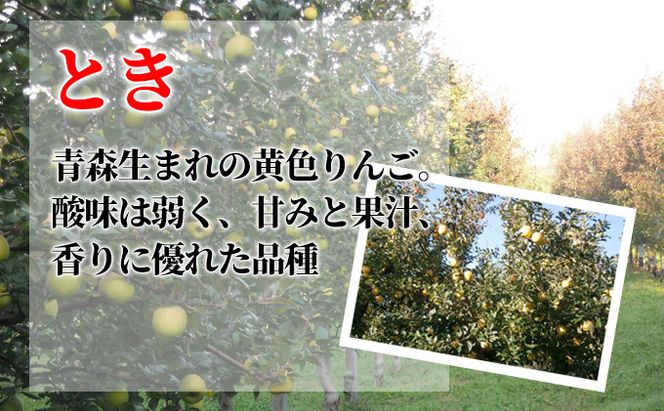 10月発送 家庭用 葉取らず とき 約 3kg【 訳あり 】鶴翔りんごGAP部会 青森県産 津軽産 リンゴ 林檎 トキ 果物類 フルーツ りんご