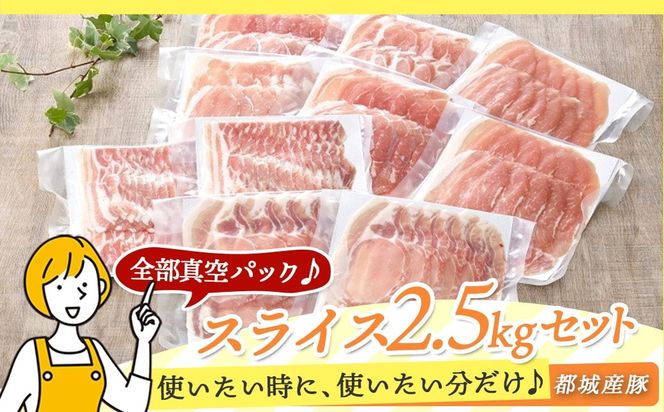 全部真空パック!「おさつポーク」スライス2.5kg_17-1403