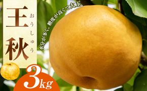 王秋 3kg（JA） ※2026年10月下旬～11月下旬頃に順次発送予定 313726_AT011