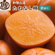 ［先行予約］家庭用 たねなし柿 約1kg［訳あり］［刀根早生・平核無柿（ひらたねなしかき）］［カキ・種無柿・種無し柿・種なし柿・無核柿］［IKE317］ 303446_BB90225