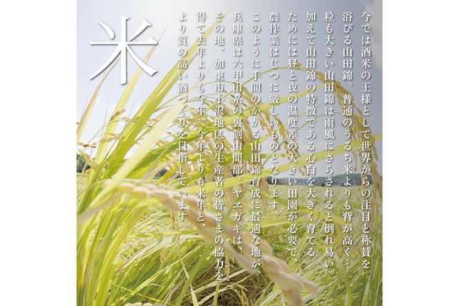 八重垣 純米大吟醸 黒乃無 720ml ヤヱガキ酒造 加東市特A地区 東条産山田錦使用 化粧箱入[ ヤエガキ 小沢地区産 日本酒 酒 お酒 四合瓶 贈答品 フルーティー ] 純米大吟醸酒 