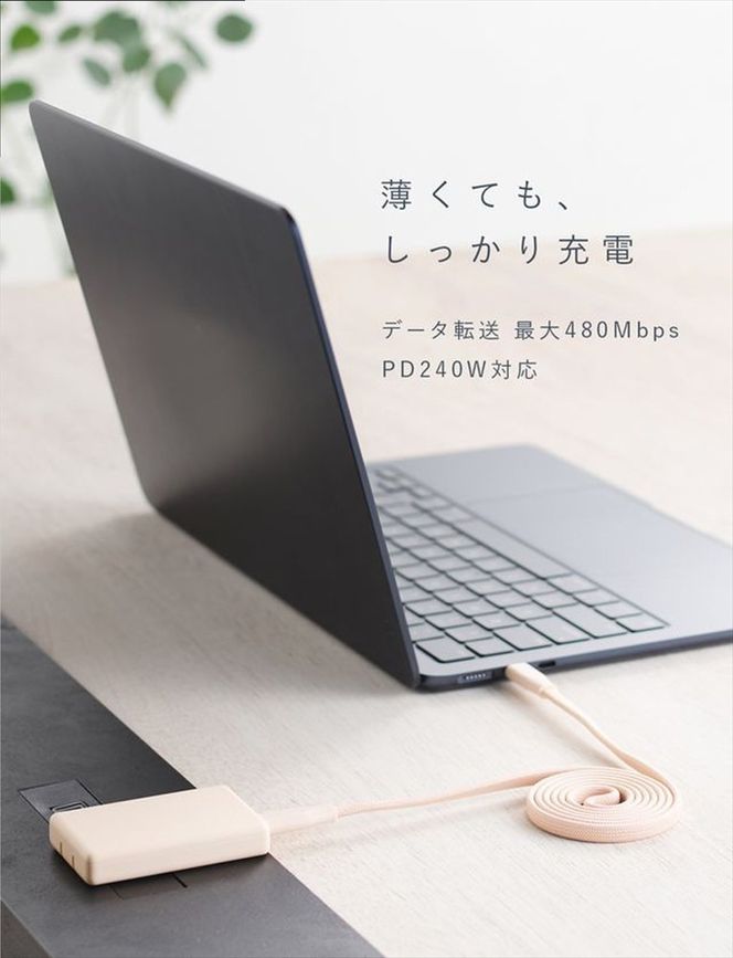 CIO ケーブル Mate Flat Spiral Cable CtoC Type-Cケーブル 充電 iPhone スマートフォン iPad パープル｜小型 軽量 おしゃれ 便利 [2663]