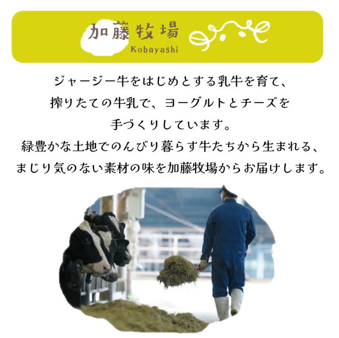 【国内コンテスト最優秀賞受賞！】カマンベールチーズ 1個 100g （チーズ 国産 乳製品 生乳 国産チーズ ノンホモ 手作り 人気）