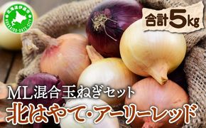 【 2025年 発送 】 先行予約 北海道 玉ねぎ 各2.5kg 計 約 5kg M-L混合 北はやて アーリーレッド タマネギ たまねぎ 玉葱 玉ネギ レッドオニオン オニオン 伊達野菜  野菜 新鮮 採れたて 産地直送 木須農園 送料無料