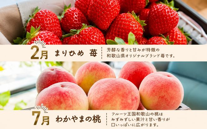 わかやま 旬の フルーツ 定期便 【L】全4回 / 有田みかん まりひめ いちご 桃 柿 ※北海道・沖縄・離島への配送不可【ard-tkb911】