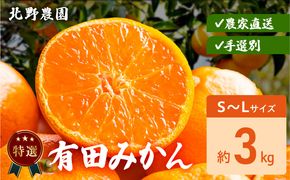 DZ6233_【2026年先行予約】特選 有田みかん 和歌山 S～Lサイズ 大きさお任せ 約3kg
