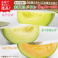 【2026年5月中旬より順次発送】★数量限定★お店で買えない逸品！亀田農園のまごころメロン5kg(4～6玉)｜果物 くだもの メロン ルピアレッド イバラキング あやひめ 数量限定 茨城県 行方市（B-1-1）