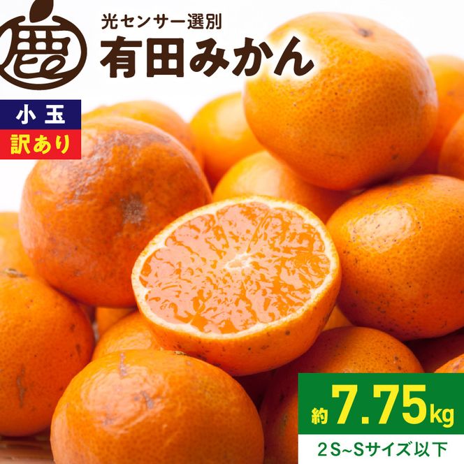 《2026年11月上旬～2027年1月上旬頃順次発送》【2026年先行予約】家庭用 小玉な有田みかん約7.5kg+250g（傷み補償分）【わけあり・訳あり】【光センサー選果】_ZH7062