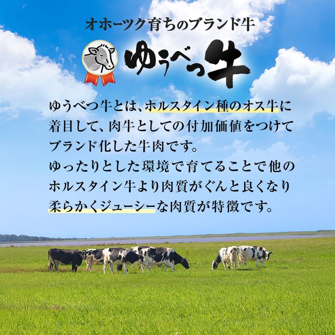 北海道産 ゆうべつ牛 ステーキ・焼き肉セット A 約1.03kg 赤身 牛肉 冷凍 湧別牛 冷凍 国産 遺伝子 オホーツク お肉 焼肉 バーベキュー 