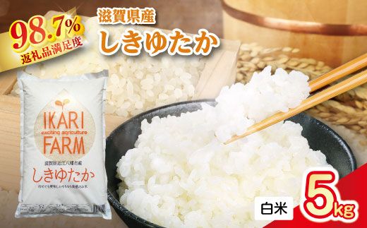 【新米】令和8年産　すっごいもちもち 「しきゆたか」 白米【5kg】【C002W2】（滋賀県　近江八幡市）