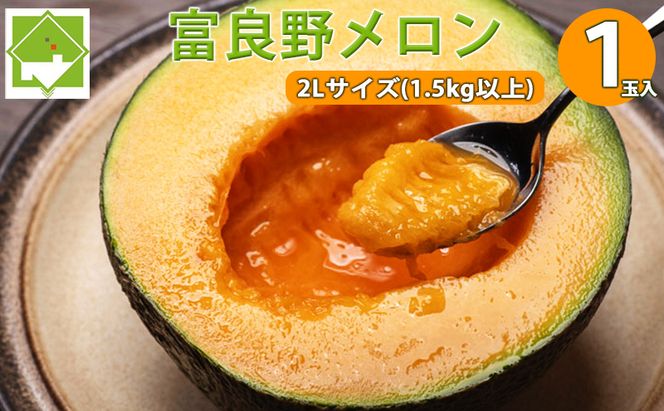 【2026年夏発送】北海道 富良野 メロン 2Lサイズ 1.5kg以上×1玉 フルーツ 果物