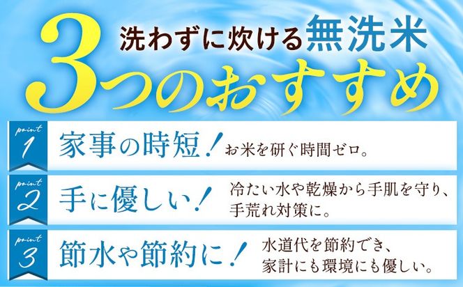 令和7年産 米 無洗米 ひのひかりこしひかり 食べ比べ 選べる 10kg 20kg 定期便 隔月6回 12ヶ月《お申込み翌月から出荷》 白米 精米 無洗米 熊本県産(南阿蘇村産含む) 単一原料米 南阿蘇村 ひの こし 送料無料 熊本県 SDGs 米 コメ こめ 国産 定期便---mna_kh7_wx_19500_10kg---