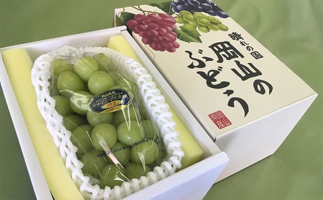ぶどう 2026年 先行予約 シャインマスカット 晴王 1房 800g以上  ブドウ 葡萄  岡山県産 国産 フルーツ 果物 ギフト