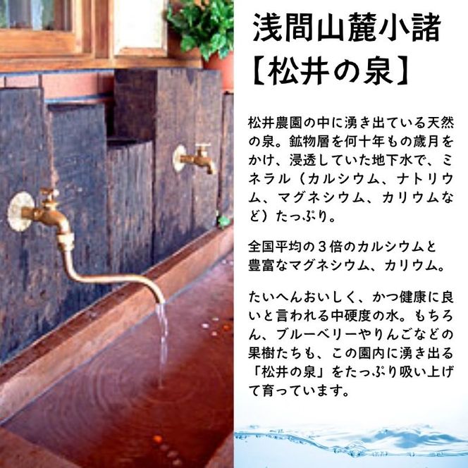 ブルーベリー【冷凍ブルーベリー（Mサイズ）１kg　贈答品】冷凍 完熟 果物 トッピング ヨーグルト 信州 長野