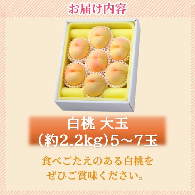 2026年 早期受付 岡山県産 白桃 大玉 (約2.2kg) 5～7玉 桃 もも 果物 フルーツ