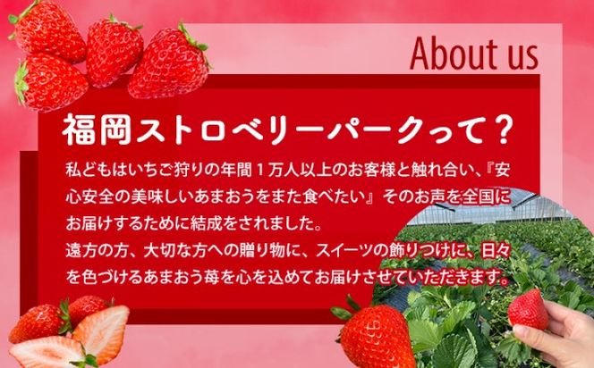 訳あり いちご 2027年2月中旬より発送 あまおう サイズ色々 4パック 約1.14kg 果物 フルーツ 福岡県産あまおう ※配送不可：離島