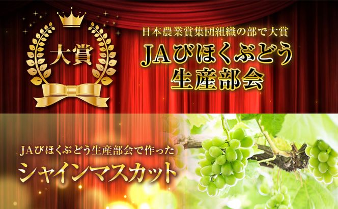シャインマスカット 約4kg ぶどう 葡萄 フルーツ 岡山 高梁市産 2026年 先行予約 果物類 芳醇な香り 種なし 皮ごと 