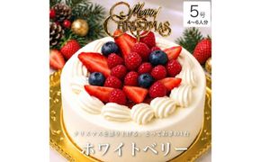 クリスマスケーキ　ホワイトベリー 5号 4-6人分　パティスリー天使のおくりもの ※2026年12月～発送