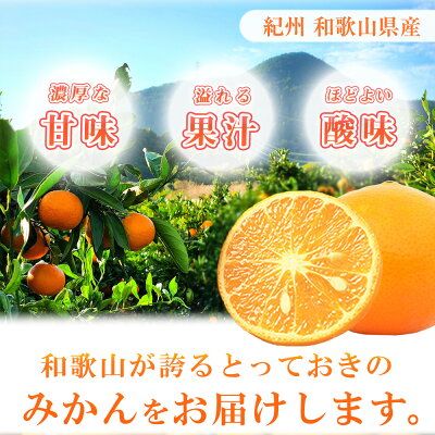 G7071_【2027年先行予約】初夏のみかん なつみ 3kg