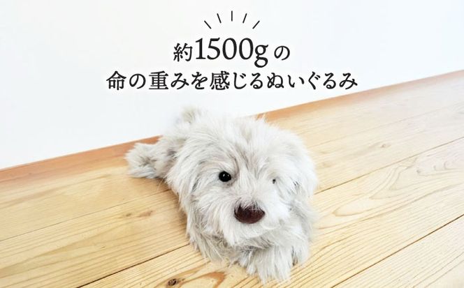 パトランミニ・グレージュ 糸島市 / 科学工房未来 パトラン ぬいぐるみ [AYI008] パトラン ぬいぐるみ 犬 いぬ ミニサイズ グレージュ ハンドメイド ペット