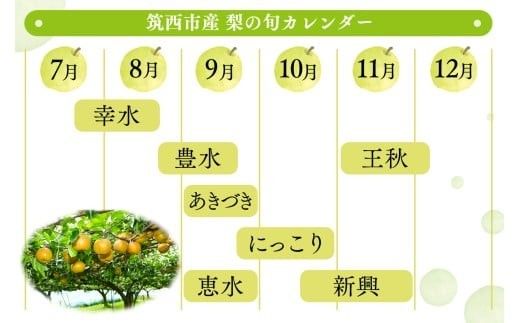 ランキング1位獲得!!【 JA 北つくば 】 筑西ブランド 認証品 豊水 5kg 2026年産 先行予約 梨 果物 フルーツ なし ナシ 豊水梨 くだもの デザート 茨城 [AE010ci]