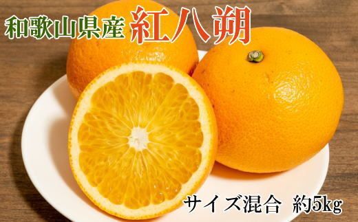 【希少品】和歌山県産 紅八朔 約5kg（サイズ混合）柑橘 フルーツ はっさく