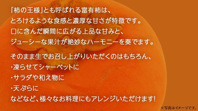 【 訳あり 】 柿 約10kg【2025年10月上旬発送開始】(茨城県共通返礼品：大子町) 柿 かき カキ 果物 フルーツ 旬 季節限定 期間限定