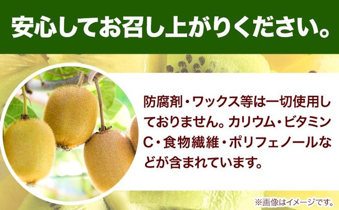 先行予約 厳選 キウイ フルーツ 約1kg 約2.5kg 約5kg 各＋250g (傷み補償分) 池田鹿蔵農園@日高町（池田農園株式会社）《11月中旬～2027年4月下旬出荷》和歌山県 日高町 キウイ キウイフルーツ 果物 フルーツ きうい 【配送不可地域あり】---wsh_idn377_11c4g_26_8000_1kg---