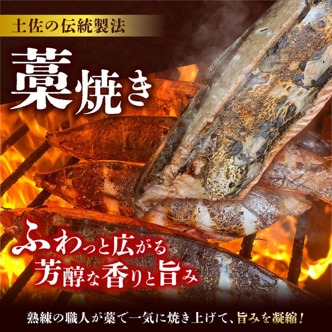 【2回定期便】初鰹・戻り鰹！！ 高知のお魚定期便！！生鰹藁焼きタタキ〈5月・11月〉 / 年2回お届け 1～3節 3～5人前 タタキ 鰹のタタキ 藁焼き 生カツオ 薬味 タレ付き【さかなの森澤　マル祐】