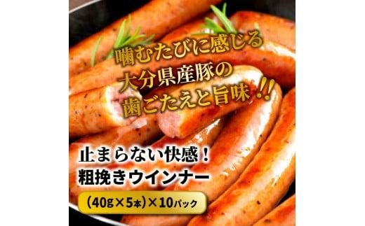 【ご好評につき2～3ヶ月待ち】【選べる容量】止まらない快感!粗挽きウインナー_1499R