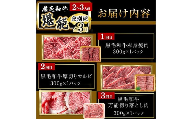 【定期便全3回】＜A4・A5等級＞黒毛和牛堪能〈お試し〉定期便（2～3人分）総重量900g t0035-002