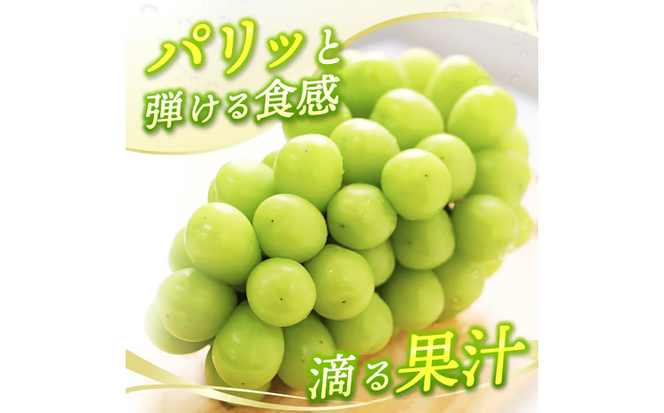 【2026年先行予約】 【ご家庭用】 Lino＆Kai Farmのシャインマスカット 3房前後(2kg程度）化粧箱入 / 朝採れ ぶどう 岡山 真庭市 シャインマスカット 高級 ギフト 大粒 果物 贈答 人気 産地直送 国産 数量限定 種なし 【linokai002-02】