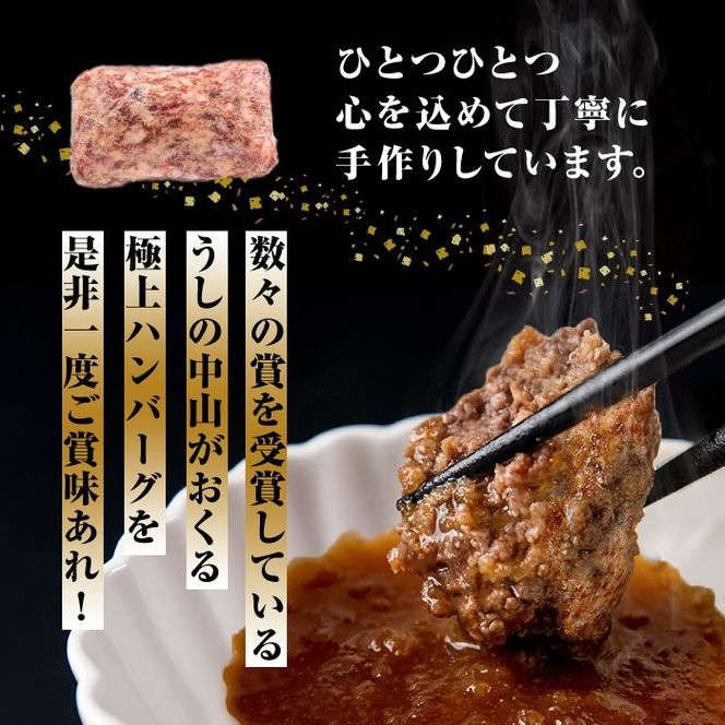 ＜A4・A5等級＞鹿児島県産 黒毛和牛100%使用 極上ハンバーグ(計750g/150g×5個)  a2-086