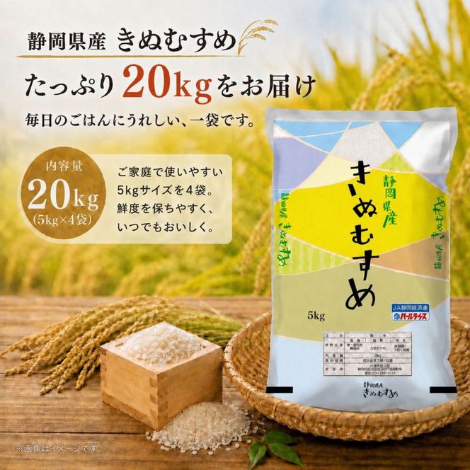 米 静岡きぬむすめ 20kg（5kg×4） お米 白米 コメ 精米 きぬむすめ 静岡県産 袋井市 静岡県