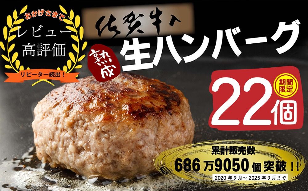 [14日以内発送!期間限定]佐賀牛入り ハンバーグ 22個 2.6kg(120g×22個)[佐賀牛 黒毛和牛 ブランド牛 九州 ハンバーグ 牛肉 豚肉 国産 お弁当 おかず 惣菜 おすすめ 人気](H083105)