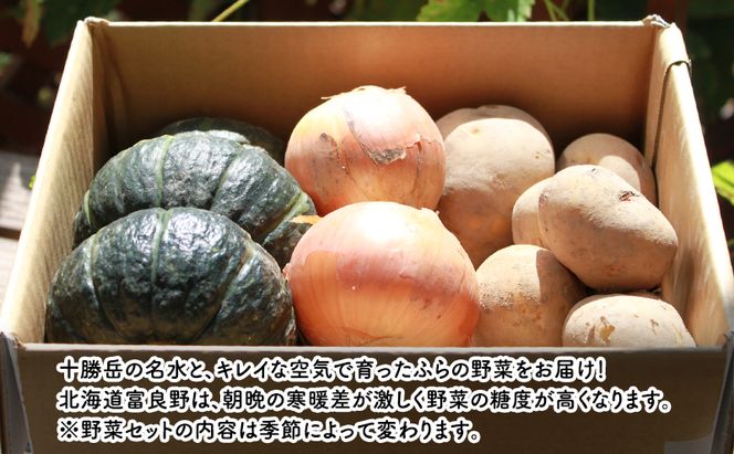 【2026年秋冬発送】富良野 野菜セット 約10kg 人参 かぼちゃ いも 玉ねぎ ごぼう ゆり根 米