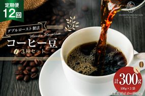 定期便 12回 コーヒー豆 3種セット 100g×3袋 [MARRON MOUNTAIN 埼玉県 小川町 306] 珈琲 ドリップ ダブルロースト製法 フルシティロースト