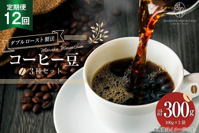 yʌ쒬z 12 R[q[ 3Zbg 100g×3 [MARRON MOUNTAIN ʌ 쒬 306]  hbv _u[Xg@ tVeB[Xg