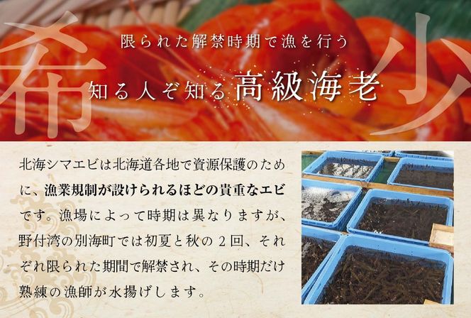 北海道野付産 北海シマエビL 1kg(500g×2)【NK0002RL1】