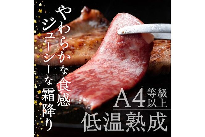 おおいた和牛 上カルビ・上ロース焼肉セット (合計450g・上カルビ250g+上ロース200g) 国産 牛肉 肉 霜降り 低温熟成 A4 和牛 ブランド牛 カルビ ロース 焼肉 BBQ 冷凍 【DH210】【(株)ネクサ】