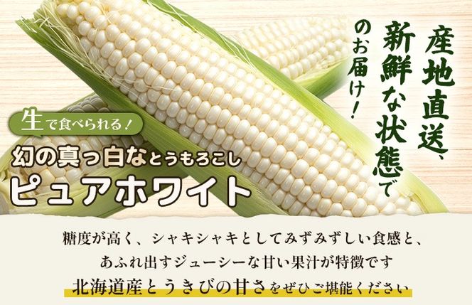 【2026年度発送分】上原農場直送 とうもろこし (ピュアホワイト)  約30kg 約65本前後【66018】