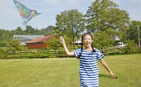 『似顔絵　悠遊バイオカイト』完成品 玩具 おもちゃ 凧 