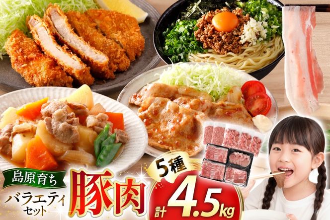 AJ666 島原育ちの豚肉セット 計4.5kg [ 豚肉 ぶた 豚ロース とんかつ用 豚バラ しゃぶしゃぶ 薄切り 豚小間 こま切れ 豚ミンチ セット 小分け バラエティ スターゼン株式会社 長崎県 島原市]