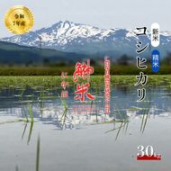 特別栽培米 鰰米 コシヒカリ にかほ 精米 30kg